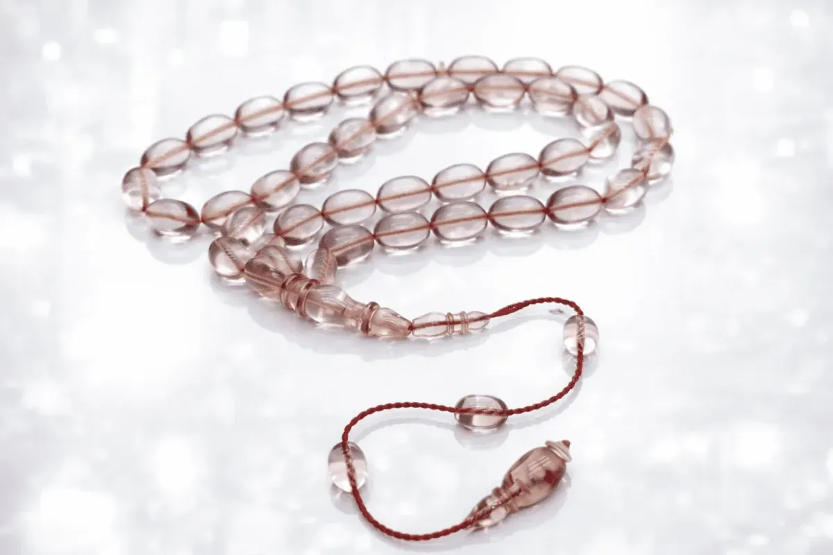 Tam Şeffaf Kanayan Bağa - Görsel 2