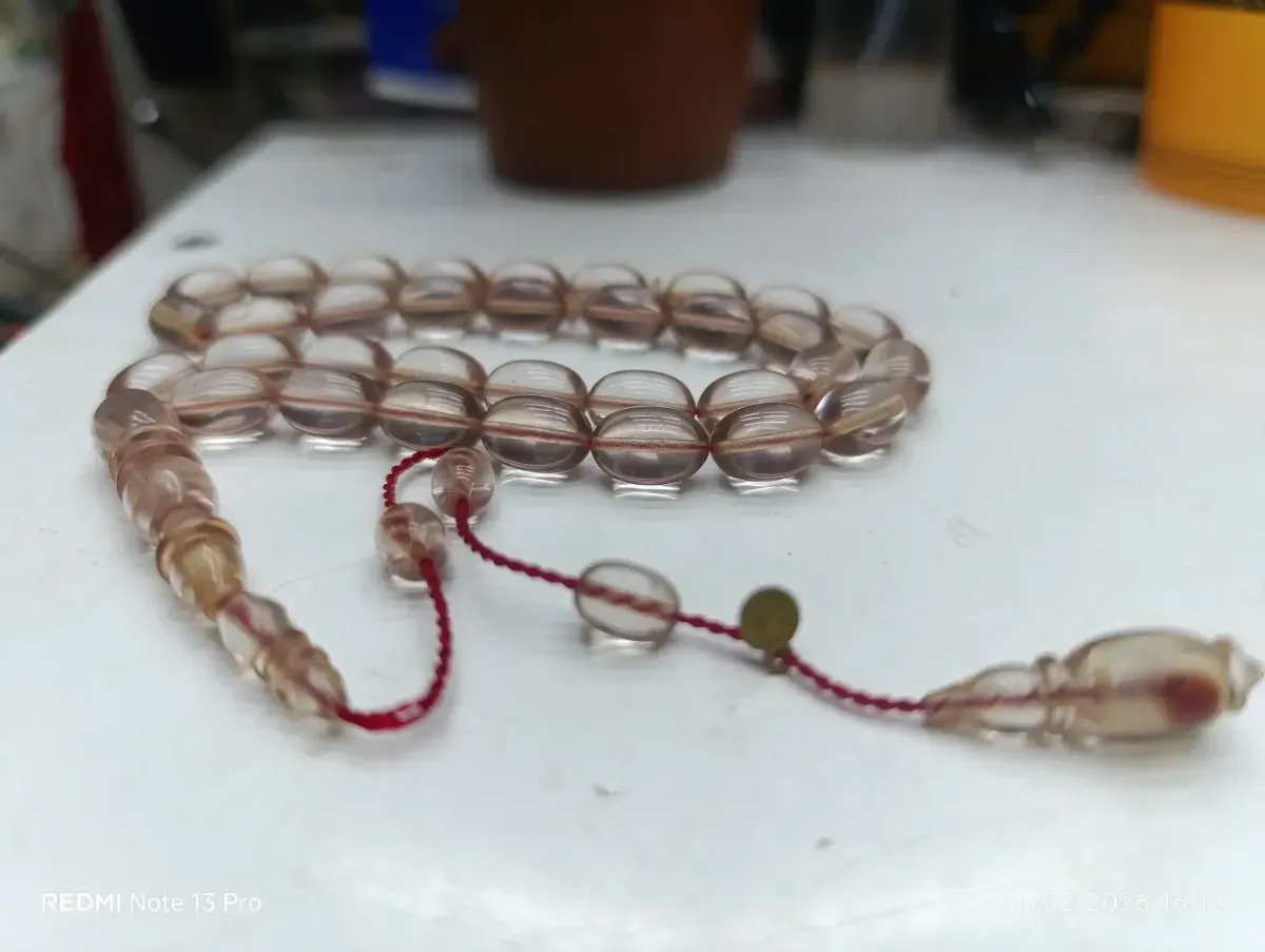 Tam Şeffaf Kanayan Bağa - Görsel 3